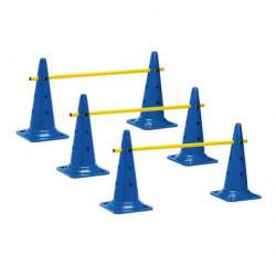 LOT 3 MINI-HAIES CONES 50cm...