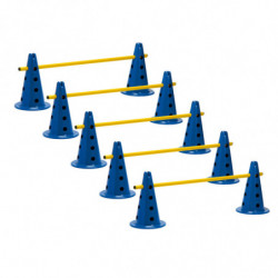 LOT 5 MINI-HAIES/CONES 35cm...