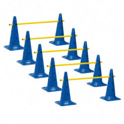 LOT 5 MINI-HAIES/CONES 50cm...