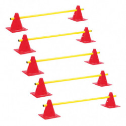 LOT 5 MINI-HAIES CONES 18cm...