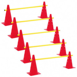 LOT 5 MINI-HAIES CONES 35cm...